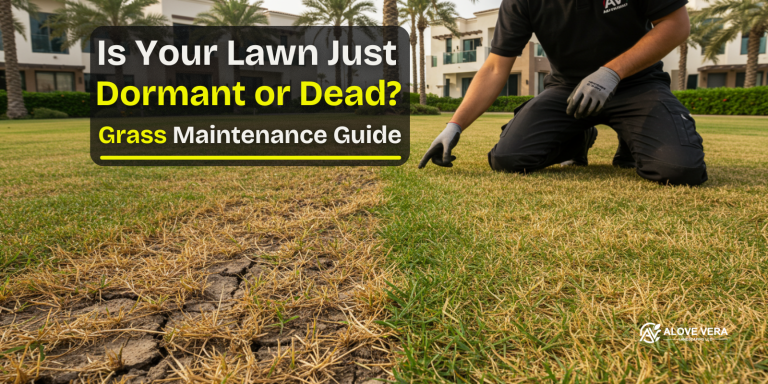 Grass Maintenance Guide
