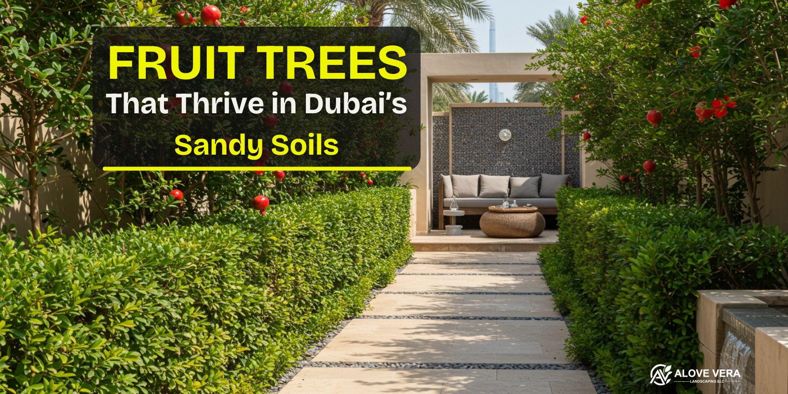 5 Fruit Trees That Thrive in Dubai’s Sandy Soils (Expert-Approved)