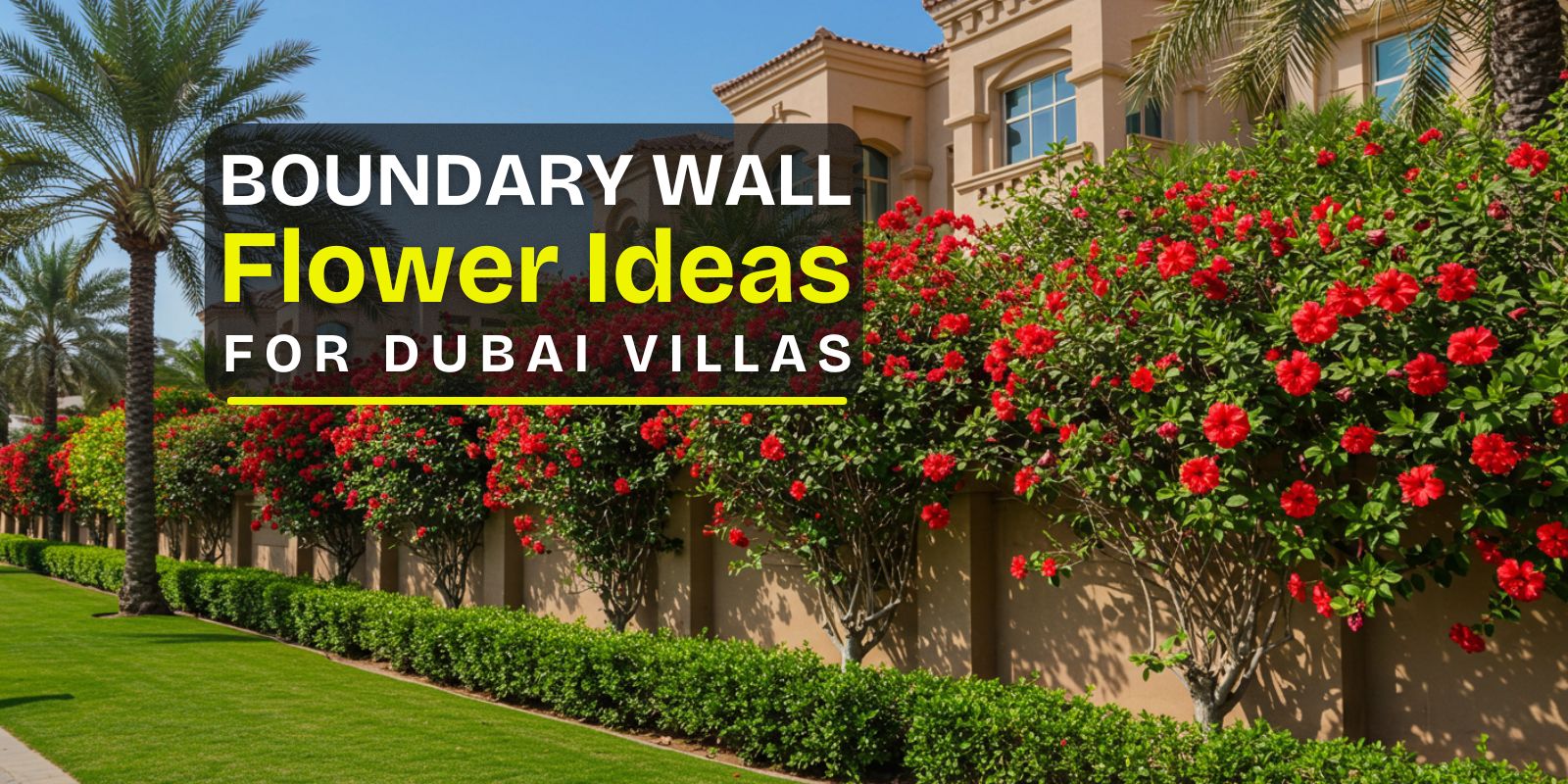 Boundary Wall Flower Ideas for Dubai Villas