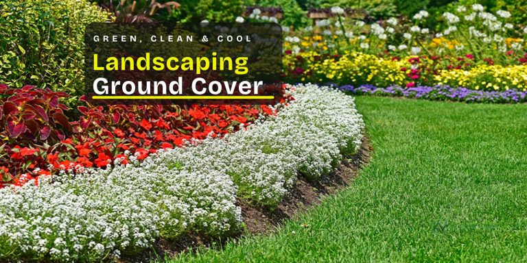 landscaping ground cover