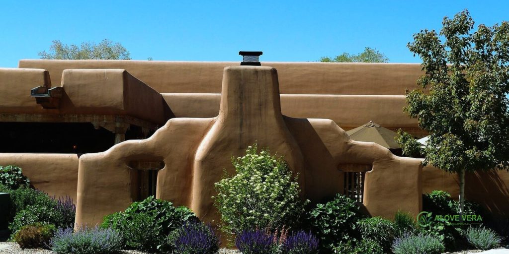 Right Landscaping Shrubbery for the UAE Climate 2 landscaping shrubbery 1