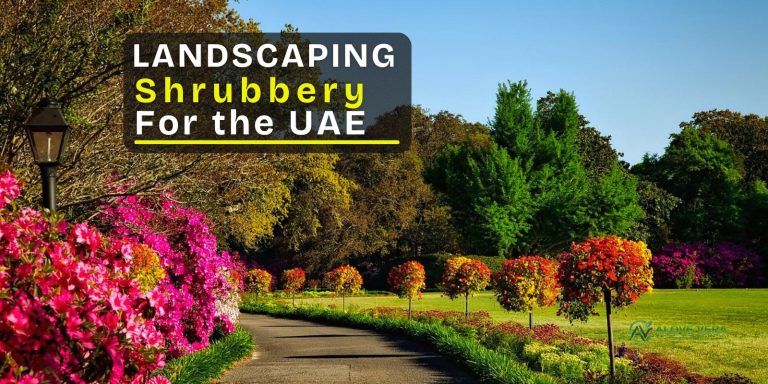 landscaping shrubbery