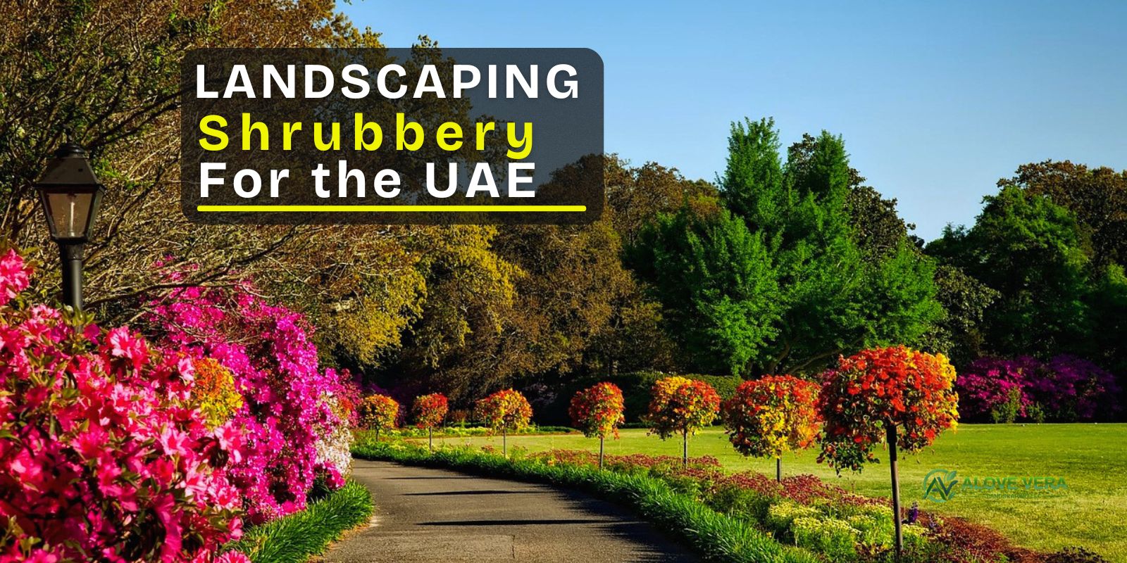 landscaping shrubbery
