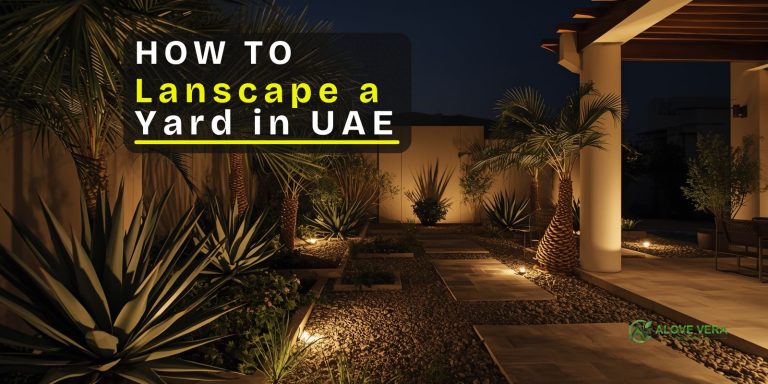 how to landscape a yard