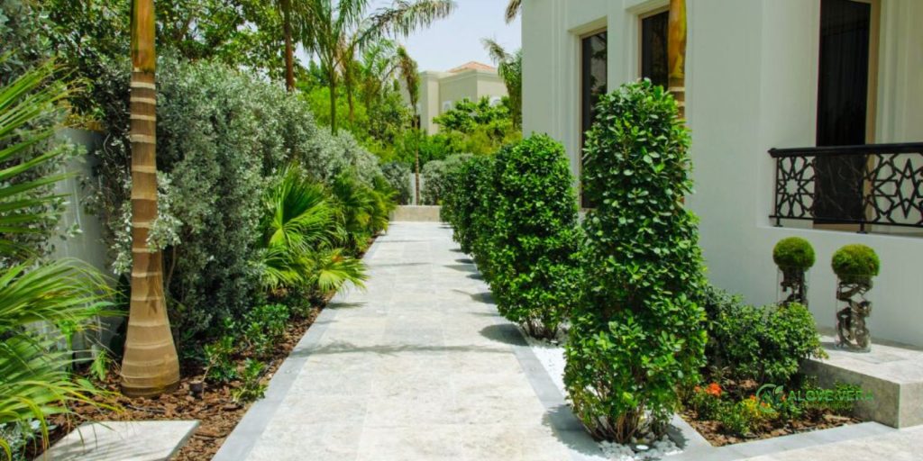 residential landscaping 2