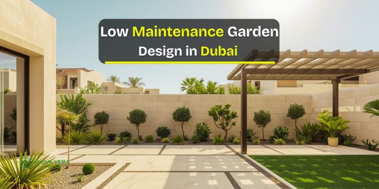 Low Maintenance Garden Design
