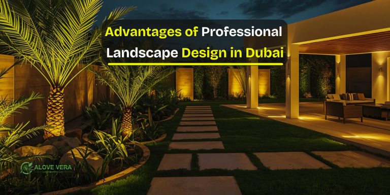 Professional Landscape Design