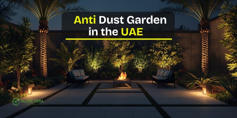 Anti Dust Garden Design in the UAE: Smart Solutions to Reduce Sand & Heat