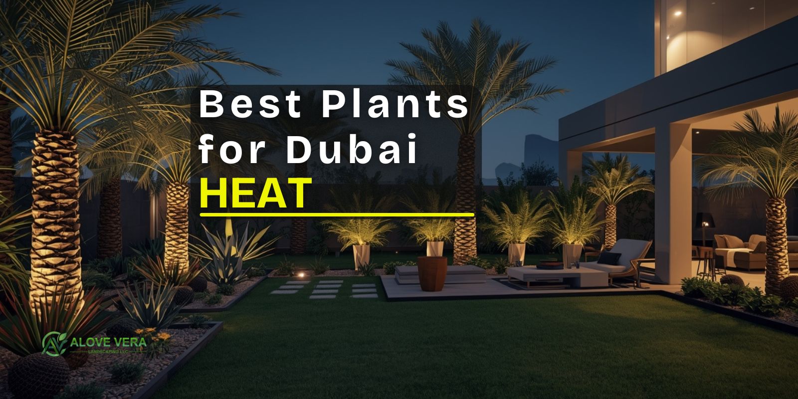 Best Plants for Dubai Heat