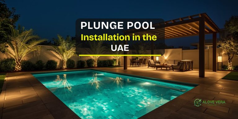 Plunge Pool Installation