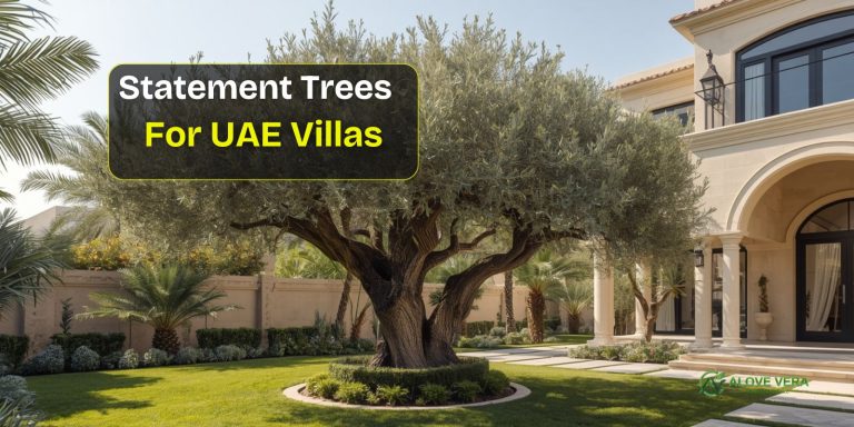 Statement Trees for UAE Villas