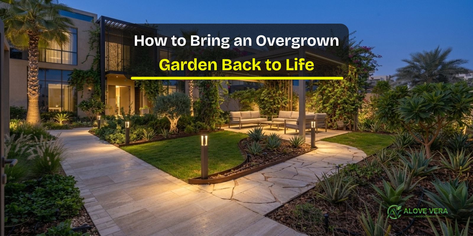 Overgrown Garden