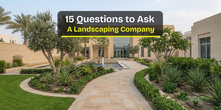 Questions to Ask a Landscaping Company